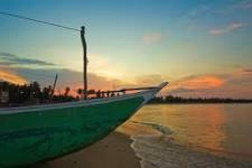 Zimbay Guest House Arugam Bay Exterior photo